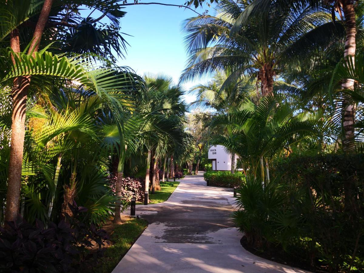 Beachside Corasol El Amanecer De Frida Para 2 Personas 普拉亚卡门 外观 照片